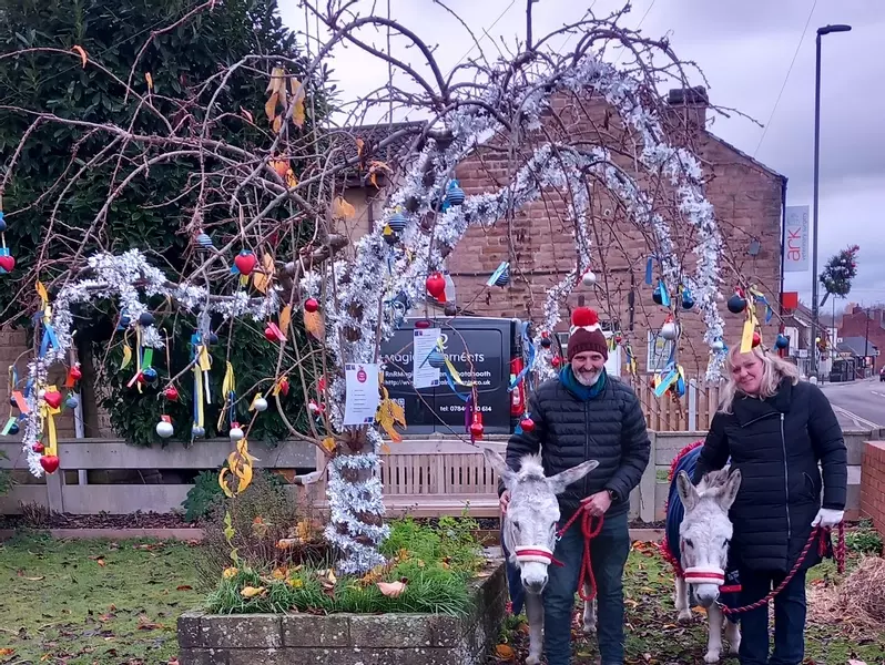 Donkeys arrived and Christmas prayers on the tree